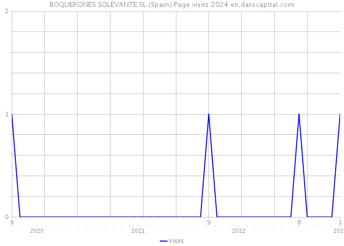 BOQUERONES SOLEVANTE SL (Spain) Page visits 2024 