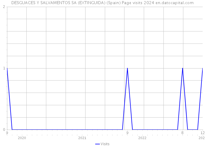 DESGUACES Y SALVAMENTOS SA (EXTINGUIDA) (Spain) Page visits 2024 