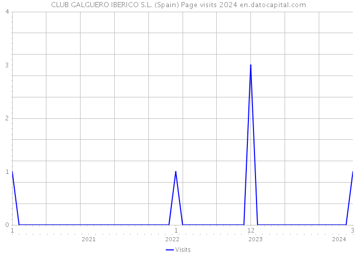 CLUB GALGUERO IBERICO S.L. (Spain) Page visits 2024 