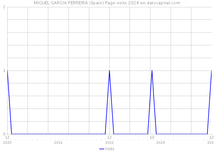 MIGUEL GARCIA FERREIRA (Spain) Page visits 2024 