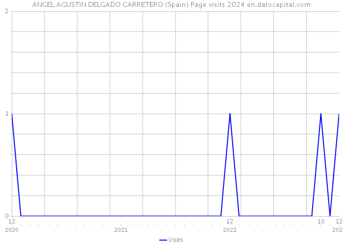 ANGEL AGUSTIN DELGADO CARRETERO (Spain) Page visits 2024 