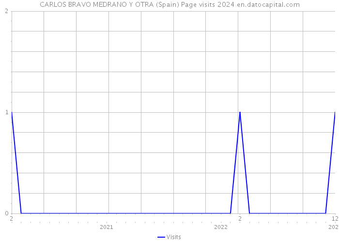 CARLOS BRAVO MEDRANO Y OTRA (Spain) Page visits 2024 