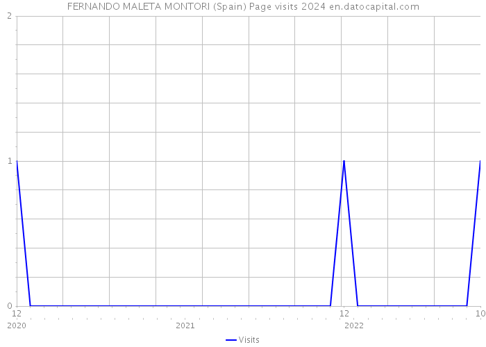 FERNANDO MALETA MONTORI (Spain) Page visits 2024 