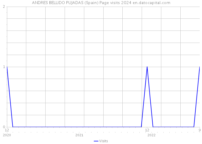 ANDRES BELLIDO PUJADAS (Spain) Page visits 2024 