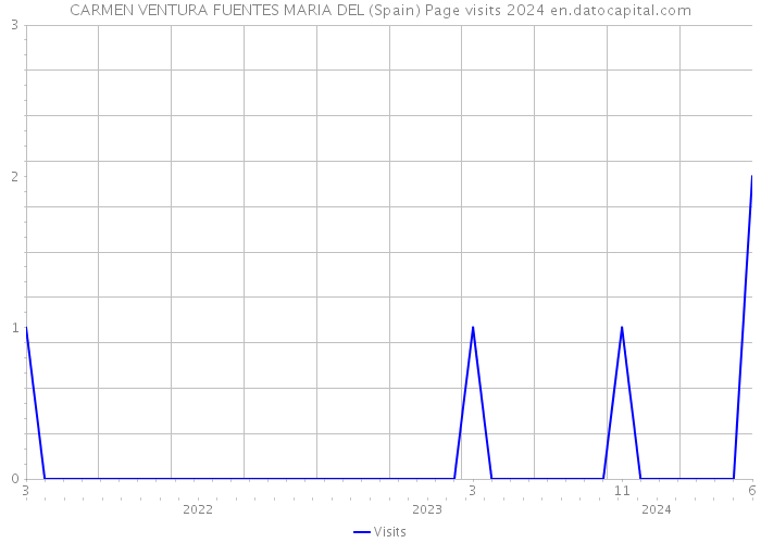 CARMEN VENTURA FUENTES MARIA DEL (Spain) Page visits 2024 