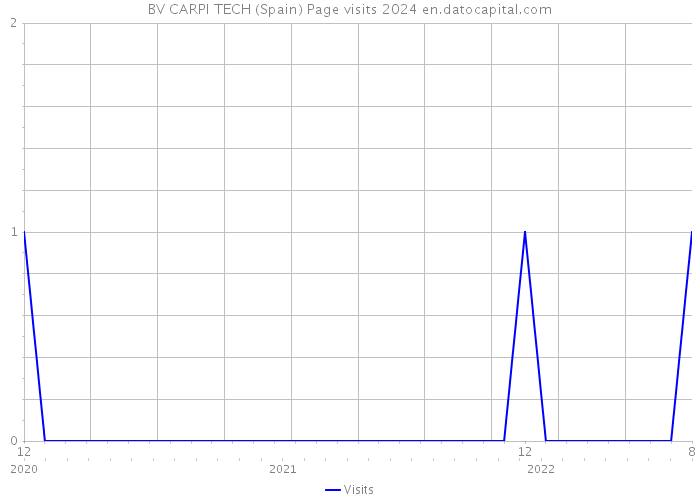 BV CARPI TECH (Spain) Page visits 2024 