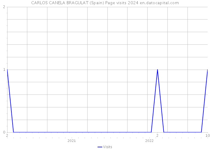 CARLOS CANELA BRAGULAT (Spain) Page visits 2024 