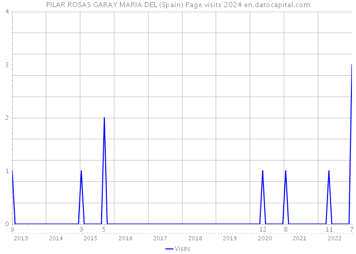 PILAR ROSAS GARAY MARIA DEL (Spain) Page visits 2024 