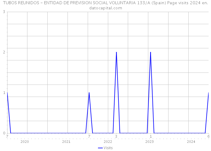 TUBOS REUNIDOS - ENTIDAD DE PREVISION SOCIAL VOLUNTARIA 133/A (Spain) Page visits 2024 