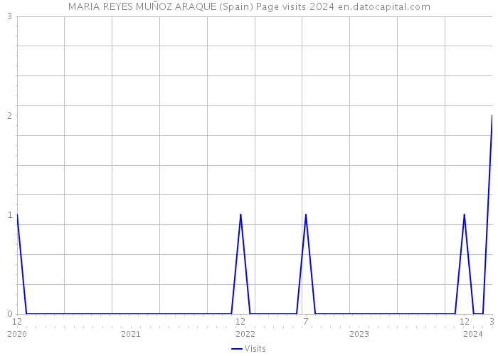 MARIA REYES MUÑOZ ARAQUE (Spain) Page visits 2024 