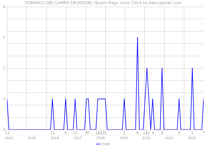 DOMINGO DEL CAMPO DE MIGUEL (Spain) Page visits 2024 