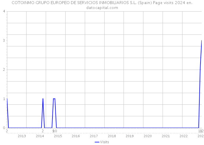 COTOINMO GRUPO EUROPEO DE SERVICIOS INMOBILIARIOS S.L. (Spain) Page visits 2024 