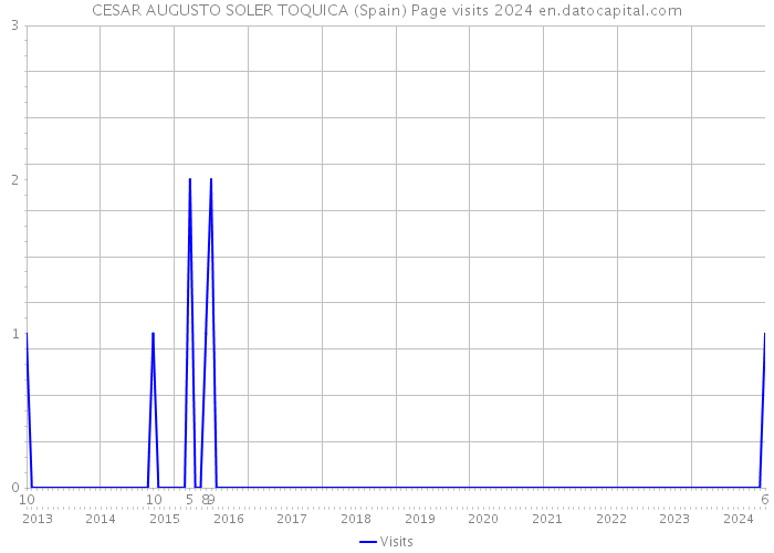 CESAR AUGUSTO SOLER TOQUICA (Spain) Page visits 2024 