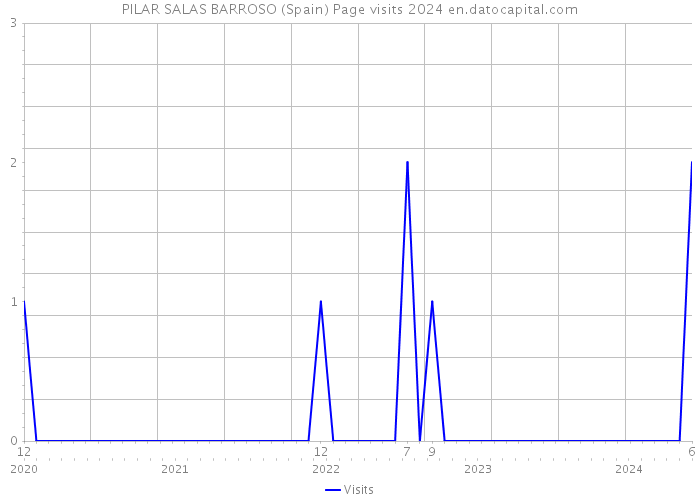 PILAR SALAS BARROSO (Spain) Page visits 2024 