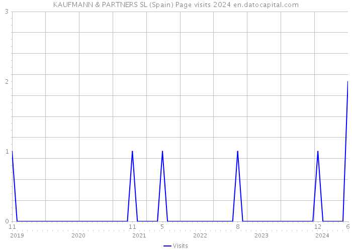 KAUFMANN & PARTNERS SL (Spain) Page visits 2024 