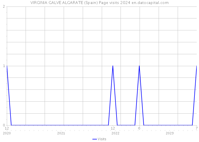VIRGINIA GALVE ALGARATE (Spain) Page visits 2024 