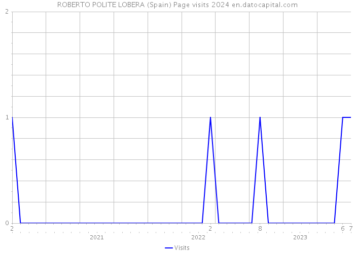 ROBERTO POLITE LOBERA (Spain) Page visits 2024 