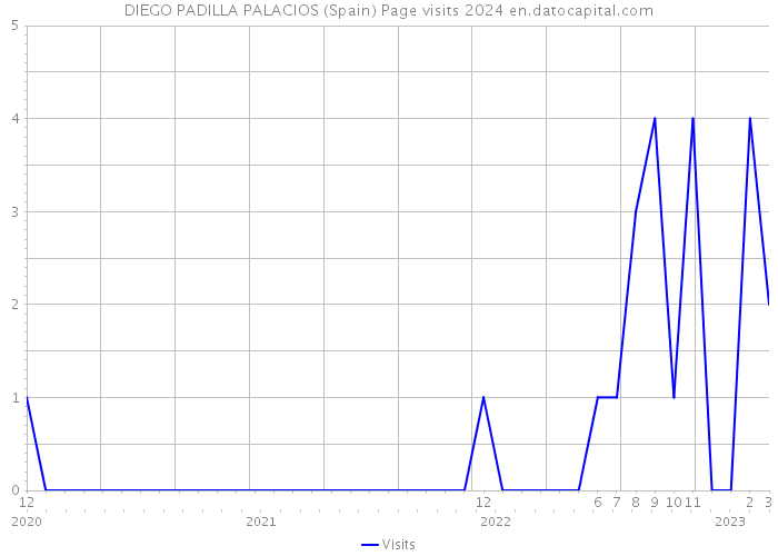 DIEGO PADILLA PALACIOS (Spain) Page visits 2024 