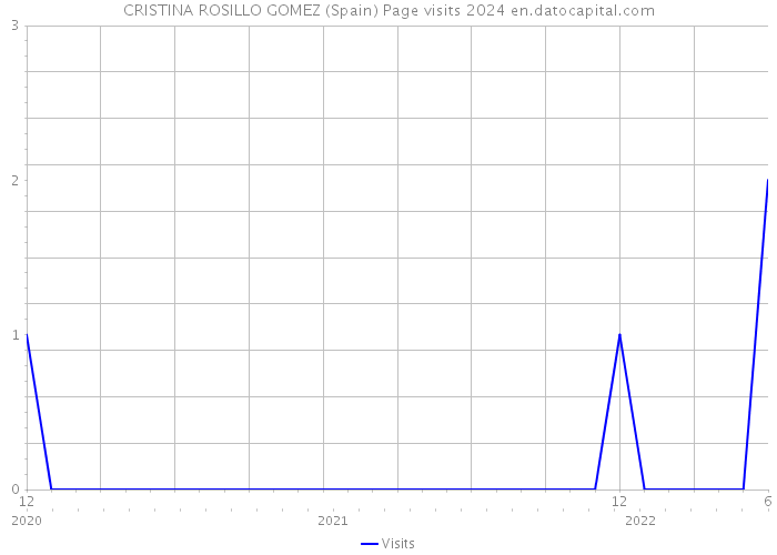 CRISTINA ROSILLO GOMEZ (Spain) Page visits 2024 