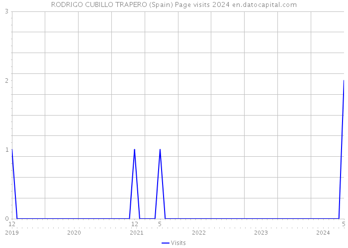RODRIGO CUBILLO TRAPERO (Spain) Page visits 2024 