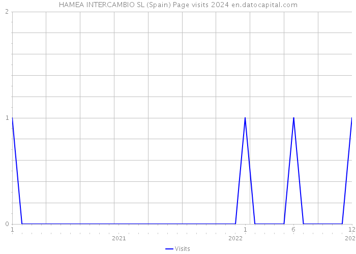 HAMEA INTERCAMBIO SL (Spain) Page visits 2024 