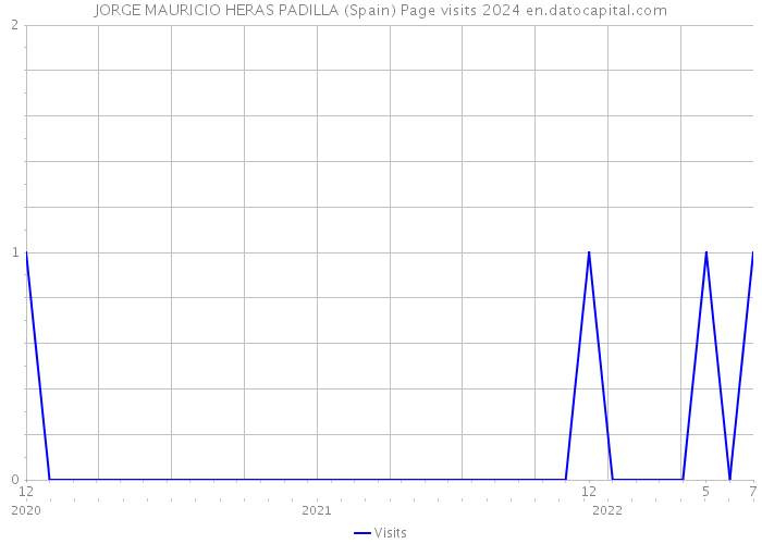 JORGE MAURICIO HERAS PADILLA (Spain) Page visits 2024 