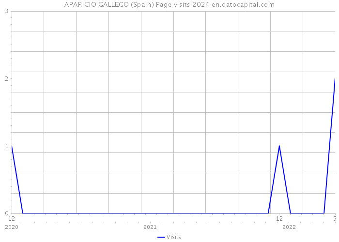 APARICIO GALLEGO (Spain) Page visits 2024 