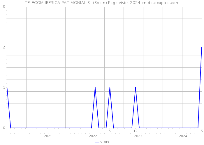 TELECOM IBERICA PATIMONIAL SL (Spain) Page visits 2024 