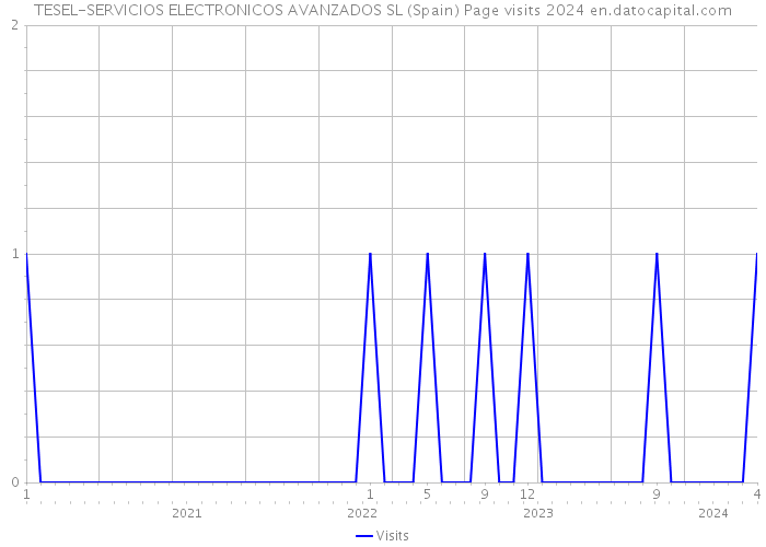 TESEL-SERVICIOS ELECTRONICOS AVANZADOS SL (Spain) Page visits 2024 