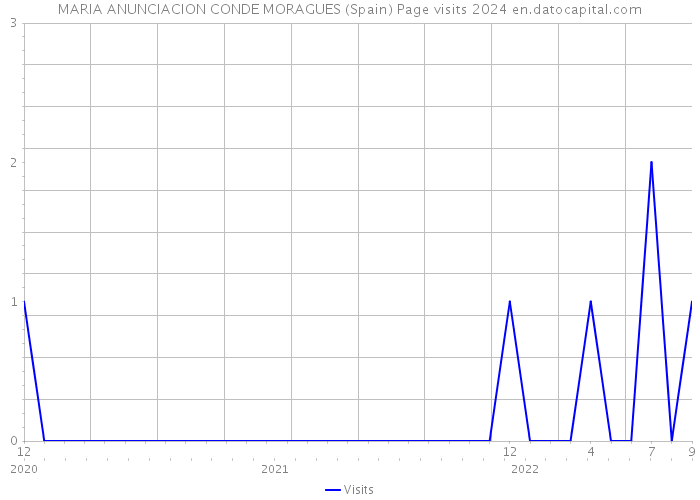 MARIA ANUNCIACION CONDE MORAGUES (Spain) Page visits 2024 