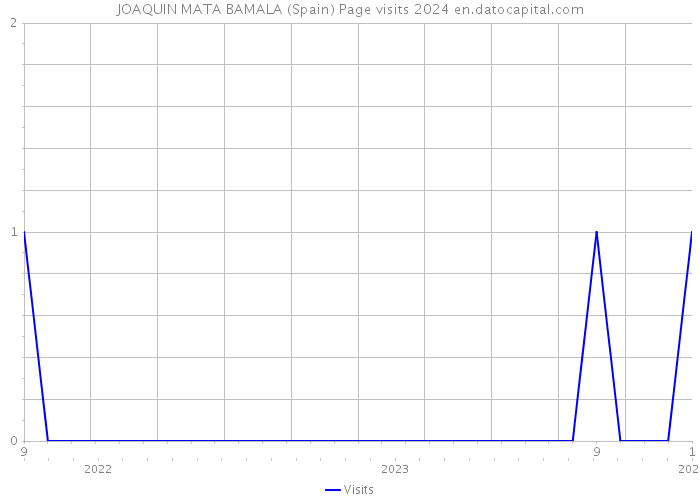 JOAQUIN MATA BAMALA (Spain) Page visits 2024 