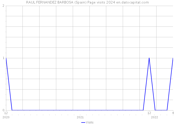 RAUL FERNANDEZ BARBOSA (Spain) Page visits 2024 