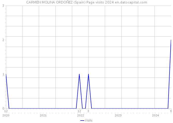 CARMEN MOLINA ORDOÑEZ (Spain) Page visits 2024 