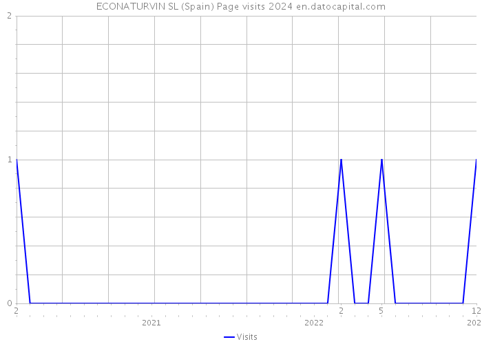 ECONATURVIN SL (Spain) Page visits 2024 