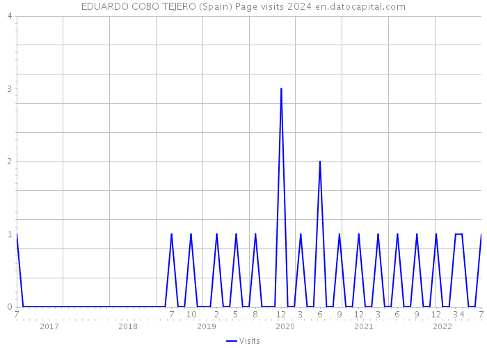 EDUARDO COBO TEJERO (Spain) Page visits 2024 