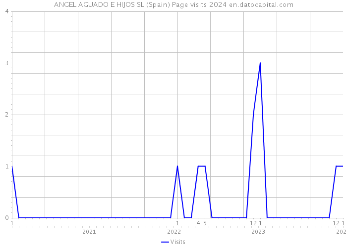 ANGEL AGUADO E HIJOS SL (Spain) Page visits 2024 