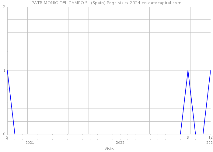 PATRIMONIO DEL CAMPO SL (Spain) Page visits 2024 