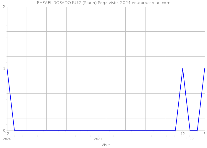 RAFAEL ROSADO RUIZ (Spain) Page visits 2024 