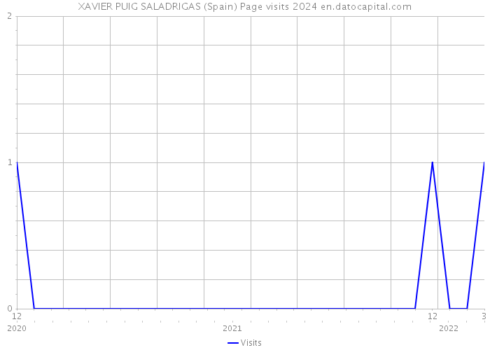 XAVIER PUIG SALADRIGAS (Spain) Page visits 2024 