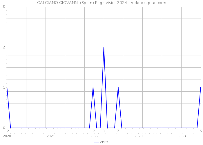 CALCIANO GIOVANNI (Spain) Page visits 2024 