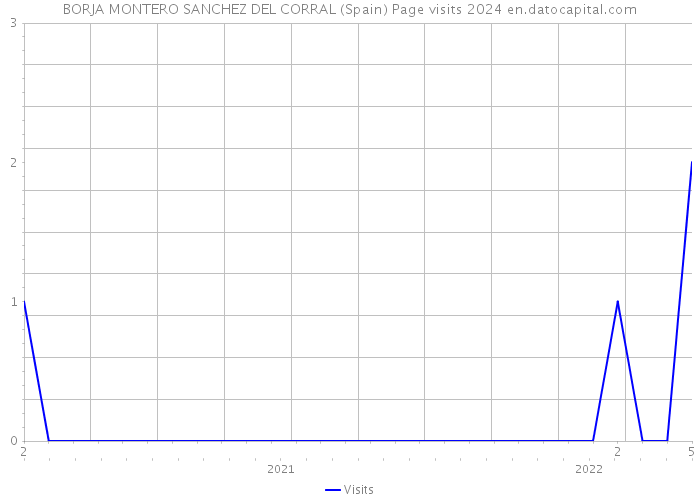 BORJA MONTERO SANCHEZ DEL CORRAL (Spain) Page visits 2024 
