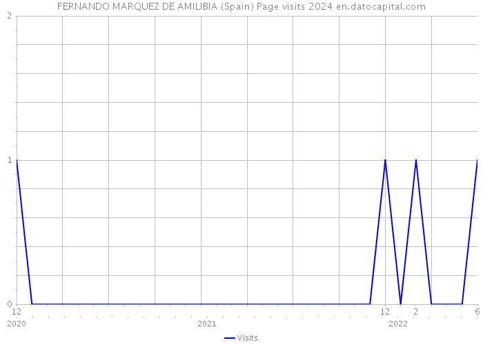 FERNANDO MARQUEZ DE AMILIBIA (Spain) Page visits 2024 