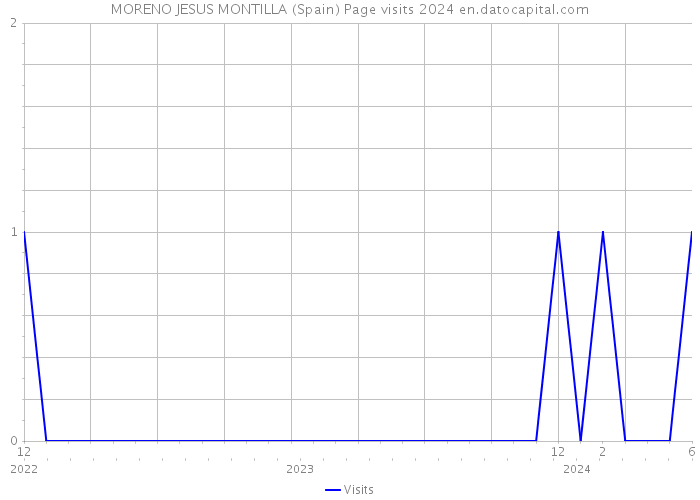 MORENO JESUS MONTILLA (Spain) Page visits 2024 