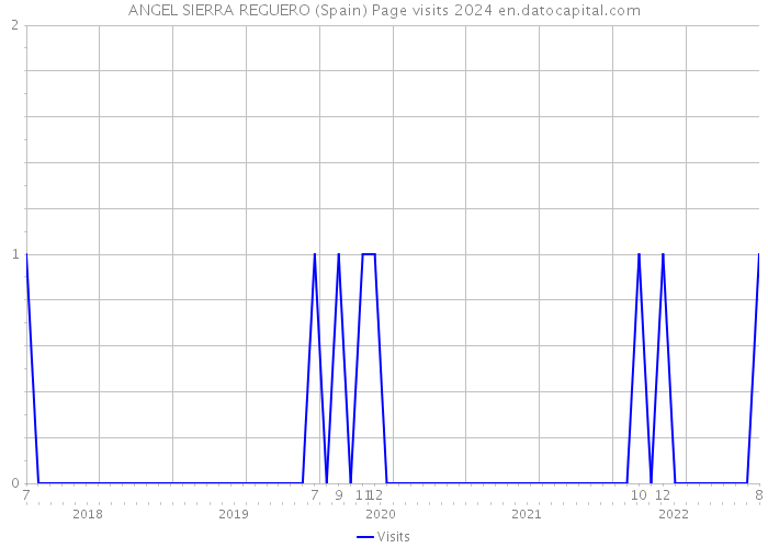 ANGEL SIERRA REGUERO (Spain) Page visits 2024 