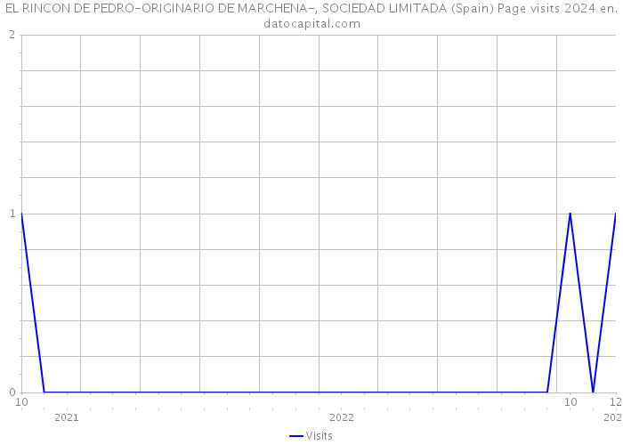 EL RINCON DE PEDRO-ORIGINARIO DE MARCHENA-, SOCIEDAD LIMITADA (Spain) Page visits 2024 