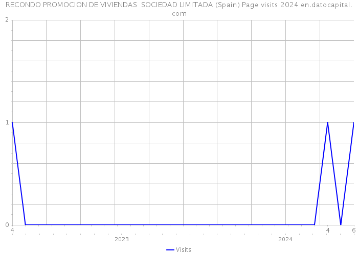 RECONDO PROMOCION DE VIVIENDAS SOCIEDAD LIMITADA (Spain) Page visits 2024 