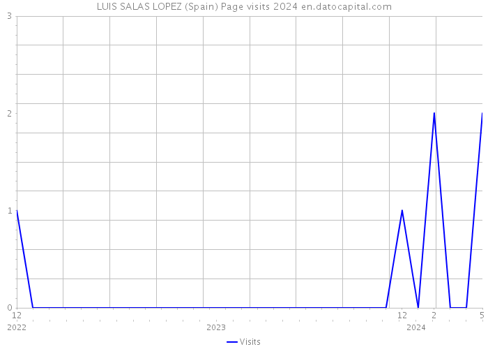 LUIS SALAS LOPEZ (Spain) Page visits 2024 