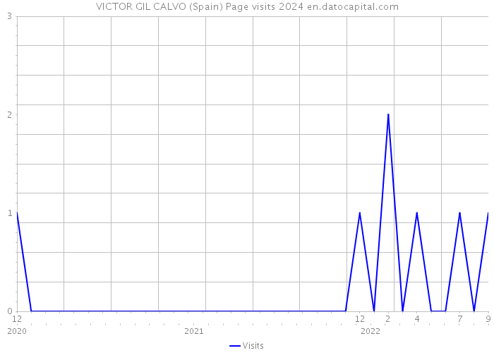 VICTOR GIL CALVO (Spain) Page visits 2024 