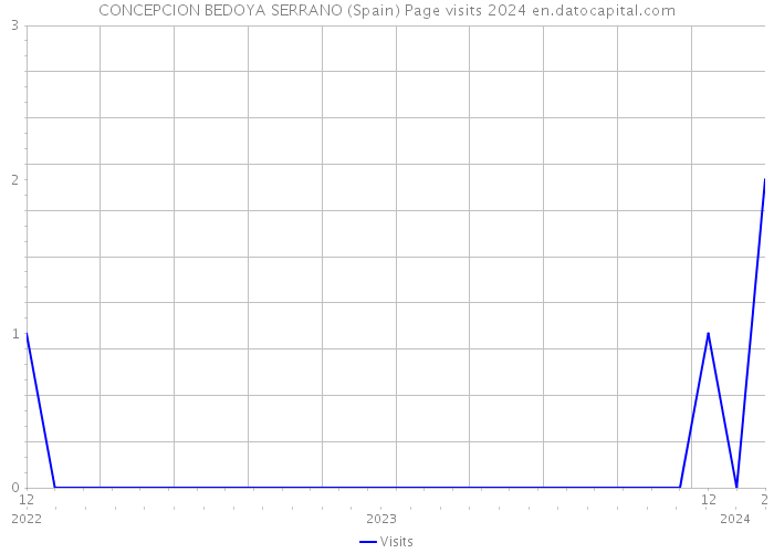 CONCEPCION BEDOYA SERRANO (Spain) Page visits 2024 