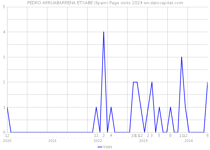 PEDRO ARRUABARRENA ETXABE (Spain) Page visits 2024 